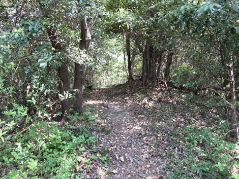 20140426hike (105)